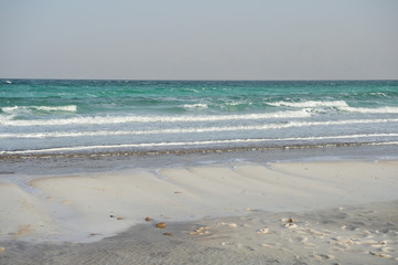 Coast of the Dead Sea in the evening