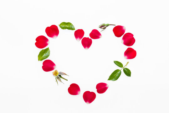 rose petals and leaves heart isolated on white background