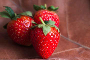 Strawberries on dried  leave background