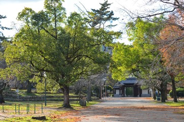 秋の膳所城跡公園