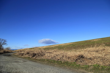 冬の渡良瀬遊水地 / Landscape of Watarase Yusuichi ( Watarase Pond ) in winter
