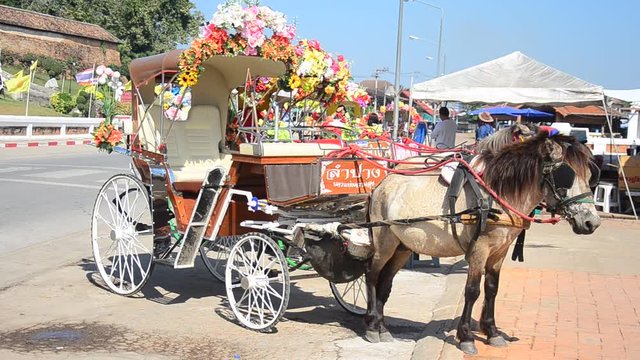 Horses drawn carriage waiting travelers people use service tour around city at Wat Phra That Lampang Luang Buddhist Temple on December 27, 2016 in Lampang, Thailand