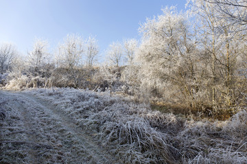 Fairytale snowy winter countryside with blue Sky in Bohemia, Czech Republic