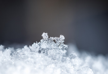 natural snowflakes , photo real snowflakes during a snowfall, under natural conditions at low temperature