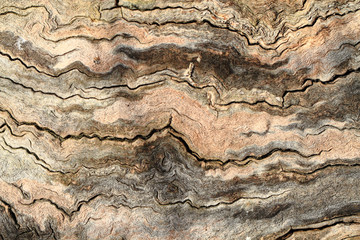 old natural wood texture