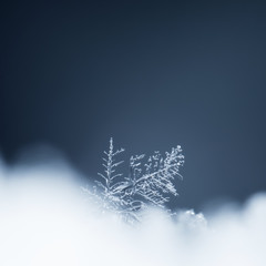 natural snowflakes on snow, photo real snowflakes during a snowfall, under natural conditions at low temperature