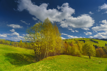 Obraz premium Spring day with blooming hills in warm sunlight. Dramatic and picturesque green meadow scene.Carpathian mountains, Ukraine, Europe.