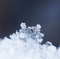 natural snowflakes on snow, photo real snowflakes during a snowfall, under natural conditions at low temperature