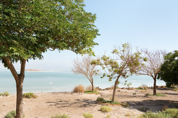 Fototapeta premium Dead sea coast, Israel.