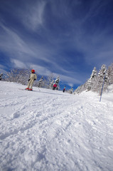 Fototapeta na wymiar ski de piste - domaine de saint pierre de chartreuse