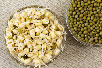 Mung bean sprouts and mung bean dry.