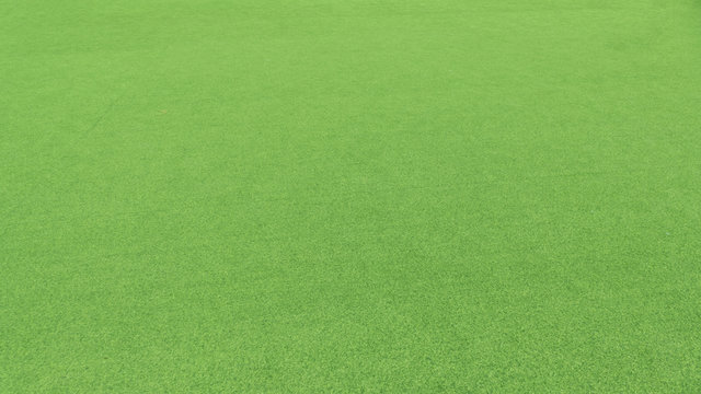 Green grass background