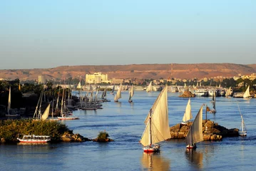 Deurstickers Feluken auf dem Nil bei Assuan © dietwalther