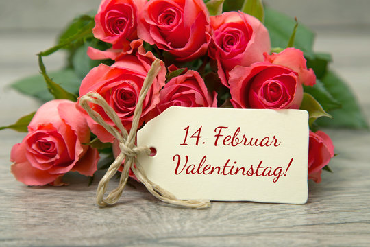 14. Februar-Rosen zum Valentinstag