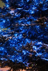 Christmas lights hanging in a tree. Holiday background