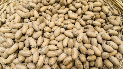 exotic nuts texture for sale