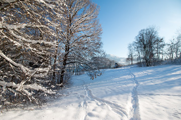 Spazierweg und Lichtung im Winter, Mönchsberg Salzburg