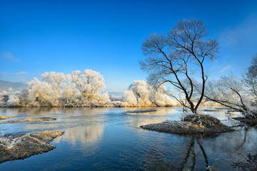Winter am Fluß, von Raureif bedeckte Bäume und kleine Inseln