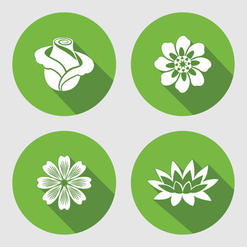 Flower icons set. Rose, chamomile, blue poppy daisy gowan lily. Floral symbols. Round circle flat sign with long shadow. Vector