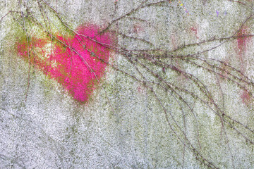 Pink heart on wall