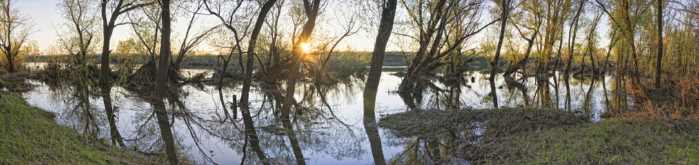 Overgrown Riverside of Spring snow melt flood/ Sunrise at the  Riverside during the high water 