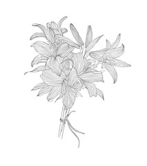 Lily vector flower bouquet