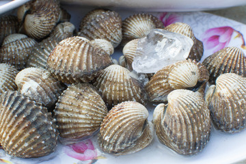 Fresh raw cockles, seafood background
