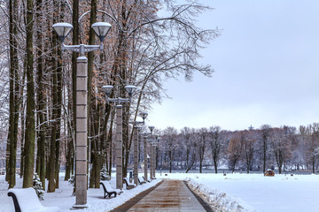 дорожка в зимнем городском парке