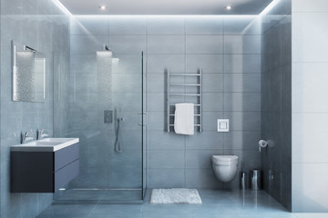 Gray modern shower room in the daylight