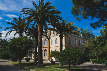 Fototapeta na wymiar Trees and palms on the summer park around King Nikola Palace at new Bar city in Montenegro.