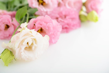 トルコキキョウの花