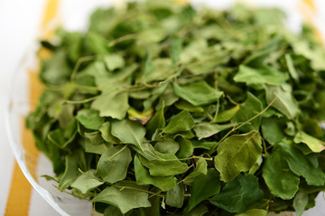 モリンガの茶葉