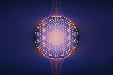 Flower of life with deep impact