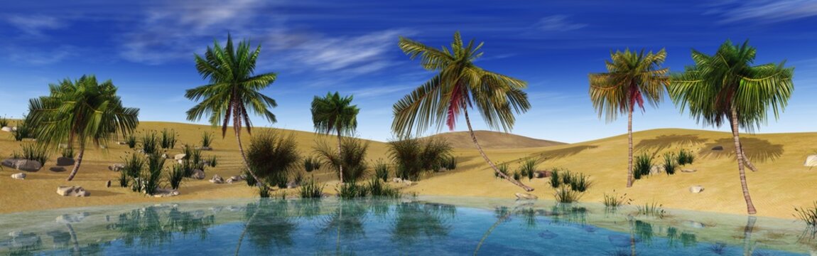 Oasis in the desert. Palm trees around the lake. © ustas