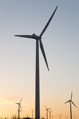 Obraz premium Wind Turbines at Dusk, Aragon