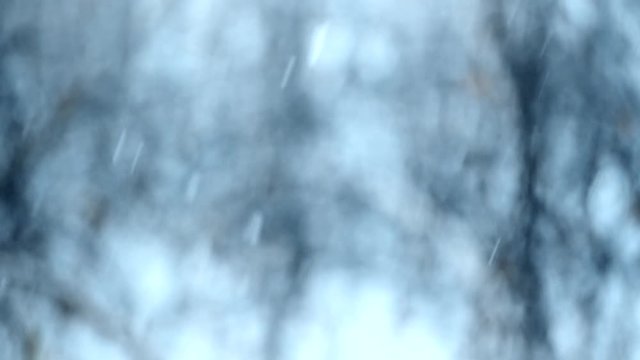 Close-up of heavy slanting snow falling on blurry blue, black and white background of park or forest