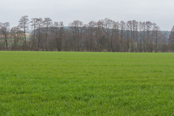 Obraz premium bavarian landscape in spring