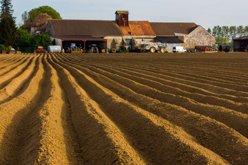Butter de pommes de terre et ferme