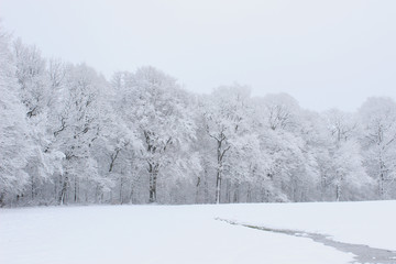 Winterlandschaft im Saarland mit Flüsschen, Frost, eiskalt, Kälte, Schnee, bizarr, gefroren