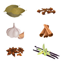 Garlic , cinnamon sticks, dried cloves, bay leaves, anise star, vanilla