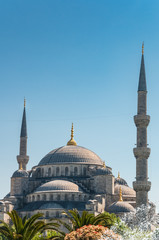 Fototapeta na wymiar Istanbul's Blue Mosque against a clear blue sky