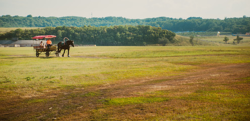 Obraz premium cart with a horse carriage in the park