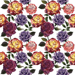 Wildflower rose flower pattern in a watercolor style isolated.