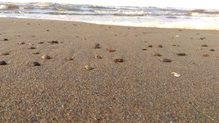 The beautiful beach's coastline