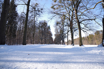 Winterlandschaft