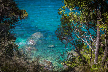 Fototapeta na wymiar Clear blue waters of ocean and lush greenery in Abel Tasman National Park