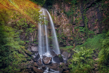 Nature in all its glory