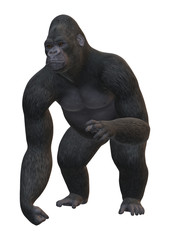 3D Rendering Gorilla on White