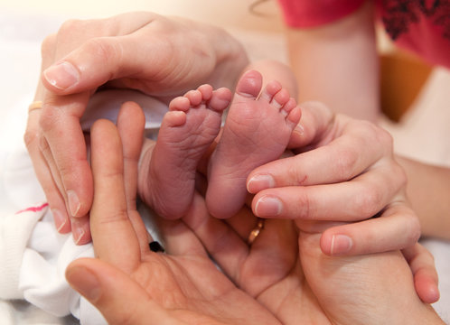 Infant heels in  mother's and fathers hands