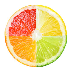 Citrus fruit. Collage of orange, lemon, lime, grapefruit slices
